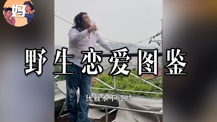 【野生人类图鉴】恋爱这一块我属于是整明白了