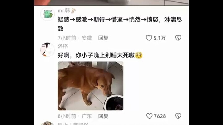 疑惑→感激→期待→懵逼→恍然→愤怒，淋漓尽致