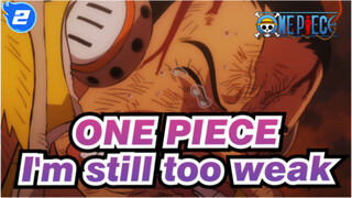 ONE PIECE|Sorry, I'm still too weak_2