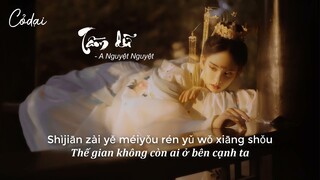 [Vietsub+Pinyin] Tầm Dữ - A Nguyệt Nguyệt / 寻屿 - 阿YueYue