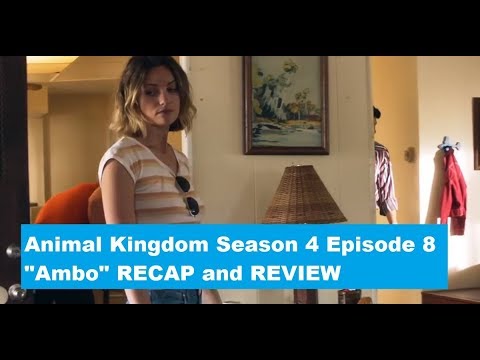 Animal Kingdom Season 4 Episode 8 RECAP/REVIEW: Ambo - Bilibili