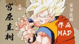 [Gaya melukis Dragon Ball z] ③ (1) Naoki Miyahara (& Akira Inakami) Salah satu gaya melukis favorit 