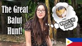 The Great Balut Hunt In Boracay Philippines