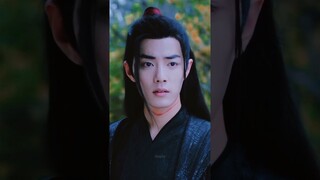 Beautiful life WangXian (Lanzhan x Weiying)💚❤️💕✨ #theuntamed #xiaozhan #wangyibo