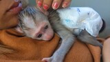 Precious Baby!! Little Monkey Luca Feel Super Warm In Mom's Comfort & Care  Luca hugs Mom with love