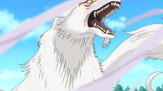 Hãy xem thử nhé! Hữu Nhân Sổ - Tsume Yuujinchou Cô giáo dạy mèo ngầu quá!