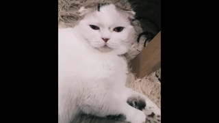 ตดใจหมดเลย
