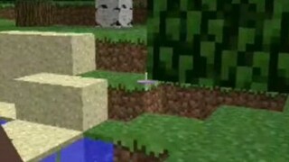 Villager In Minecraft