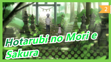 [Hotarubi no Mori e] Sakura_2