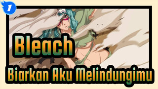 [Bleach,AMV,/,Epik],Kali,Ini,Biarkan,Aku,Melindungimu_1