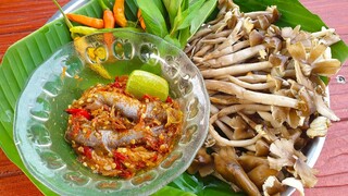 เห็ดปลวกย่าง(เห็ดโคน) จำแจ่วปลาแตกต่อนนัวๆ