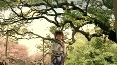 ninja rantaro live action