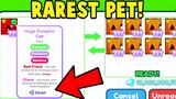 I Traded a RAINBOW HUGE PUMPKIN CAT in Pet Simulator X! (RAREST PET)