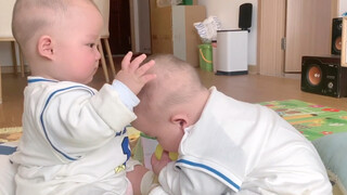 The interaction between the twin cubs cannot be described in words. Mom was really touched watching 