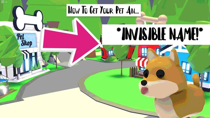 How To Make Your Pet's Name Invisible! Adopt Me, Roblox