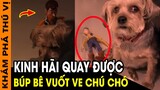 🔥 6 Cảnh Tượng Siêu Bế Tắc Ẩn Mà Thú Cưng Của quý khách hàng Gặp Phải Được Camera Ghi Lại | KPTV