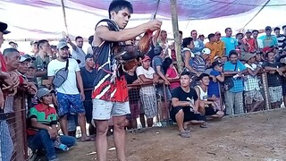 walay sala ang buta