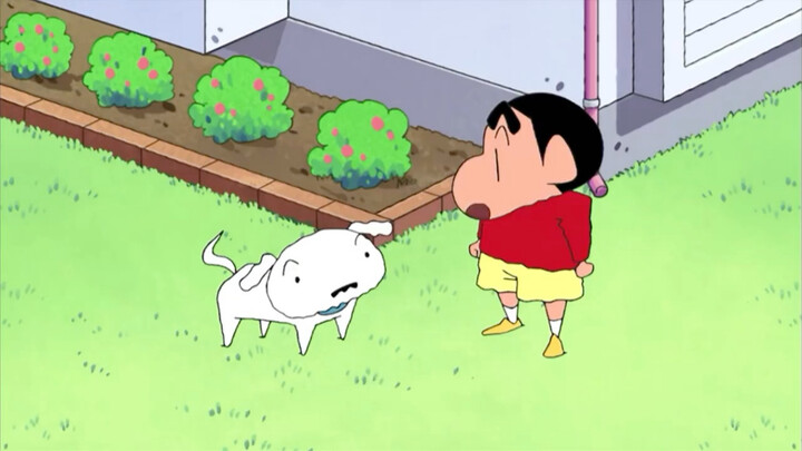 อีกวันแห่งความสุขกับเซียวไป๋