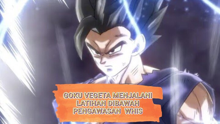 GOKU VEGETA MENJALANI LATIHAN DIBAWAHPENGAWASAN  WHIS