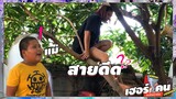 เฮอริเคน | คุณแม่สายดีด