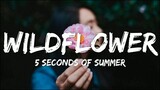 5 Seconds Of Summer - Wildflower (Lyrics)