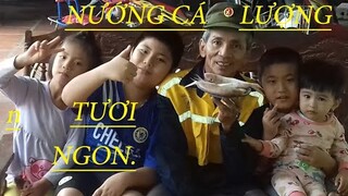 Nướng Cá Lượng Ngon Giòn. Món Ăn Thường Ngày #ThungHoàng