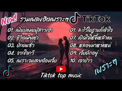 รวมเพลงฮิตในtiktok รวมเพลงในtiktokล่าสุดเพราะๆฟังต่อเนื่อง  เพลงฮิต2024