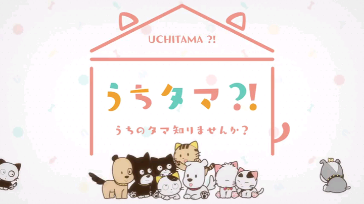 UCHITAMA?!  Have You Seen My Tama? EP 11