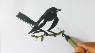 2 2 দিয়ে সহজে দোয়েল পাখি আঁকা শিখুন। Magpie Bird Drawing from-22_ Drawing। ছবি আ