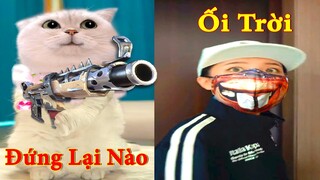 Thú Cưng TV  | Dương KC Pets | Mèo Sam Và Miu #6 | mèo thông minh vui nhộn | funny cute smart cat