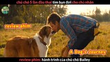 Chú chó 5 lần Đầu thai - Review phim Hành Trình của Chú Chó Bailey