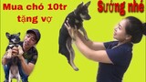 Săn Bắt Ẩm Thực Vùng Cao Mua chó 10 Triệu Tặng Vợ Và Cái Kết Cười Dụng Răng| Tường Vy Vlog