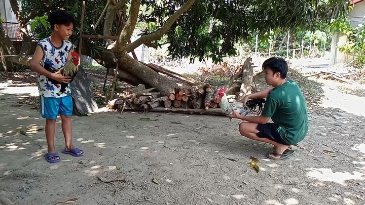 1st sparring sayang lang natanggal isa buntot d naawat sa sobrang bilis