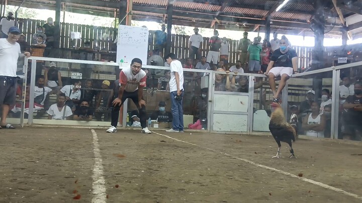 draw ang SCA DOM