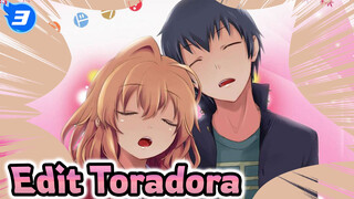 Toradora, Karya Pindahan Yang Biasa Namun Langka (Bagian 2)_3