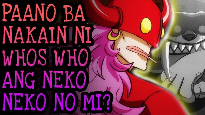 NEKO NEKO NO MI Explained in Tagalog! | One Piece