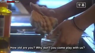 yamato nadeshiko ep1 sub English