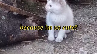 🥰💕