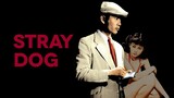 Stray dog (1949) subtitle Indonesia full movie