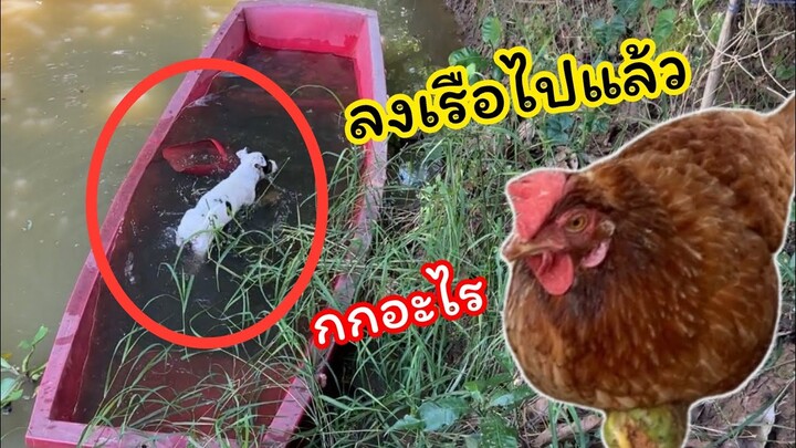 ก็ลงเรือไปเลยดิ แต่ละตัวบ้านนี้แปลก