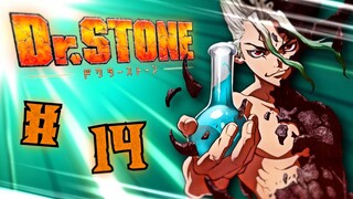 MAUVAISE FOI #14 -  DR STONE