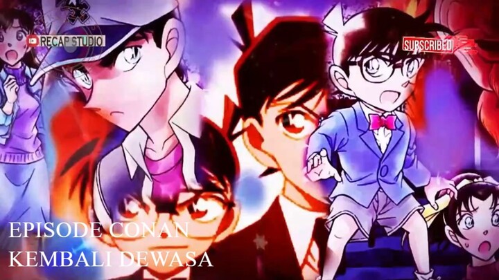 Episode-arc Conan Kembali Dewasa Menjadi Shinichi Kudo - Detective Conan Review