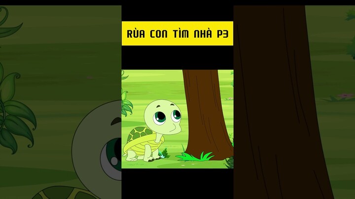 Rùa con tìm nhà P3 #memes #quatangcuocsong #phimhoathinh