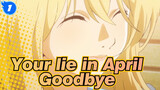 Your lie in April|Goodbye and thank you for everything you left me_1