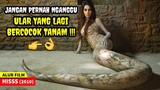 DEWI ULAR MARAH KARENA KEKASIHNYA DICULIK - Alur Cerita Film India HISSS (2010)