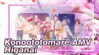 [Konoototomare AMV] Higanai_3