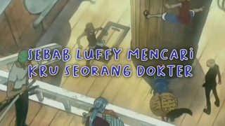 Inilah Kenapa Luffy Mencari Seorang Kru Dokter