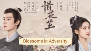 Blossoms in Adversity (2024) Soon!!!
