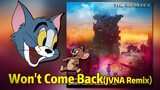 【猫鼠电音】Won't Come Back (JVNA Remix)