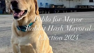 MOM? WHERE'S MY PASSPORT? I'M GOING TO LIVE IN RABBIT HASH, BECAUSE THEY HAVE A CUTE FURRY MAYOR🤣🤣